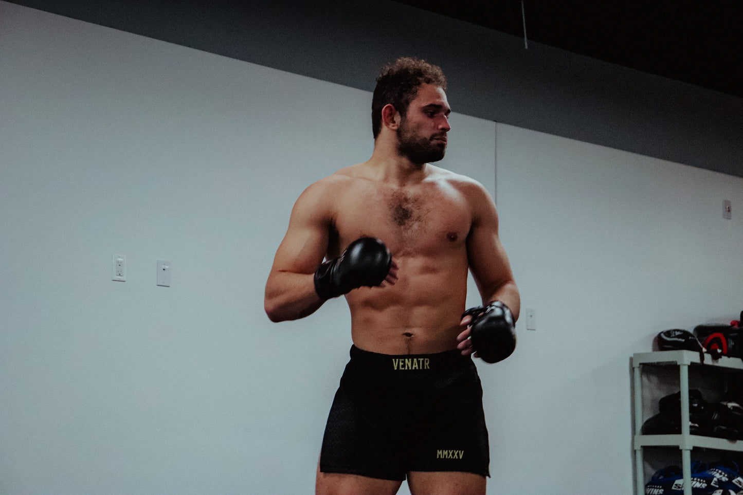 Fearless Swordsman Gladiator Shorts